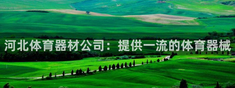凯时ag旗舰厅网址是什么：河北体育器材公司：提供一流