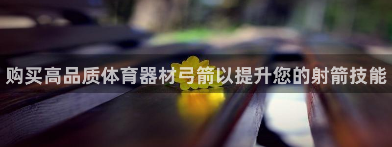 尊龙专访：购买高品质体育器材弓箭以提升您的射箭技能
