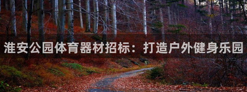 ag旗舰平台尊龙代言：淮安公园体育器材招标：打造户外