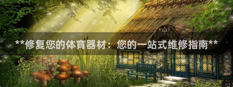 凯时app官方首页：**修复您的体育器材：您的一站式