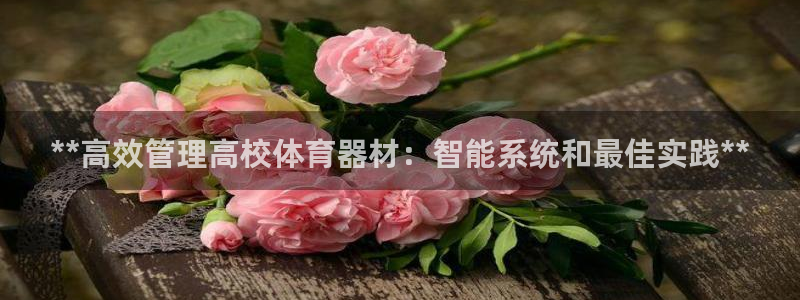 z6尊龙z6：**高效管理高校体育器材：智能系统和最