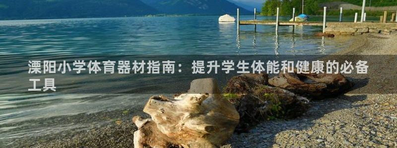 凯时国际网站域名：溧阳小学体育器材指南：提升学生体能