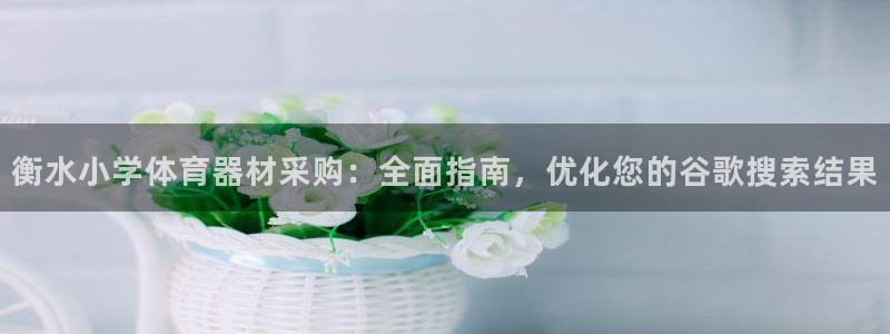 尊龙凯时网娱乐最新版下载：衡水小学体育器材采购：全面