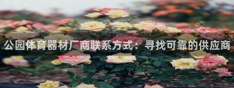 尊龙凯时z6官网：公园体育器材厂商联系方式：寻找可靠