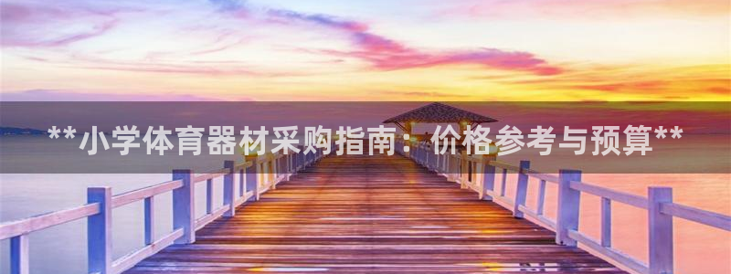 尊龙用现金娱乐一下下载旧：**小学体育器材采购指南：