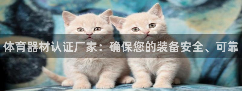 ag旗舰平台尊龙代言：体育器材认证厂家：确保您的装备