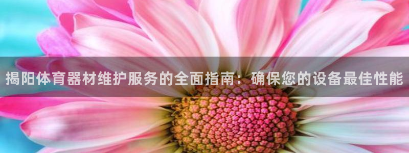 凯时kb88会员登录：揭阳体育器材维护服务的全面指南