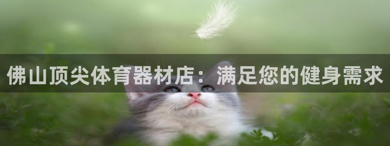 尊龙凯时凯发官网：佛山顶尖体育器材店：满足您的健身需