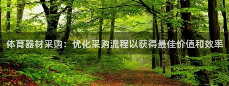 尊龙集团有限公司：体育器材采购：优化采购流程以获得最
