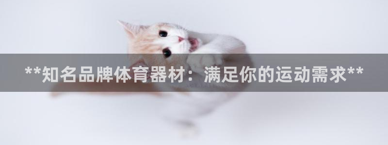 尊龙d88ag官方网站：**知名品牌体育器材：满足你