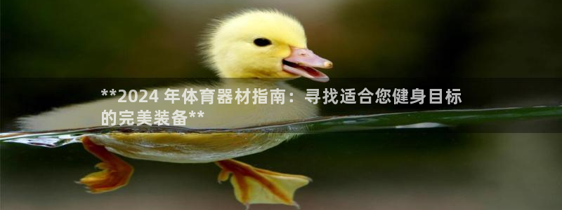 凯时k66会员登录：**2024 年体育器材指南：寻