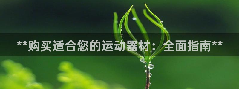 尊龙-人生就是博：**购买适合您的运动器材：全面指南