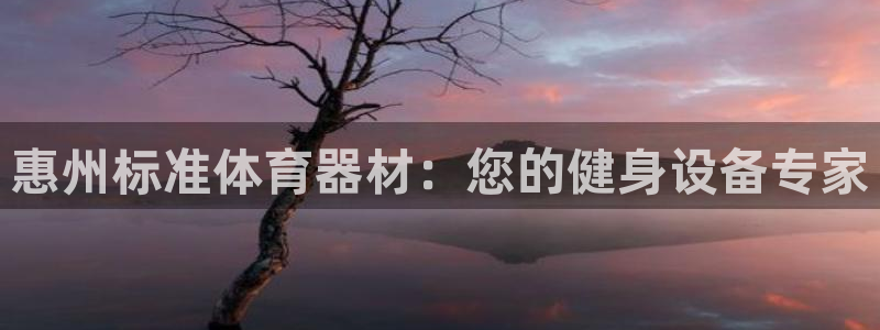 尊龙百度百科：惠州标准体育器材：您的健身设备专家