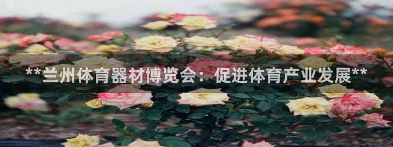 d88尊龙凯时：**兰州体育器材博览会：促进体育产业
