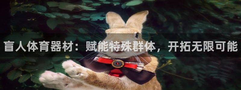 尊龙凯时人生就是搏!官网：盲人体育器材：赋能特殊群体