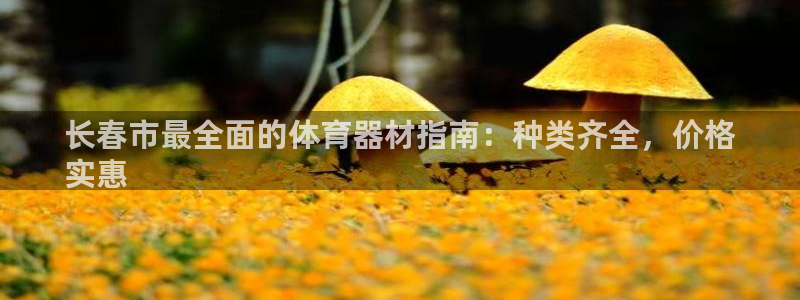 凯时旗舰厅App下载：长春市最全面的体育器材指南：种