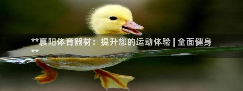 ag尊龙凯时集团：**襄阳体育器材：提升您的运动体验