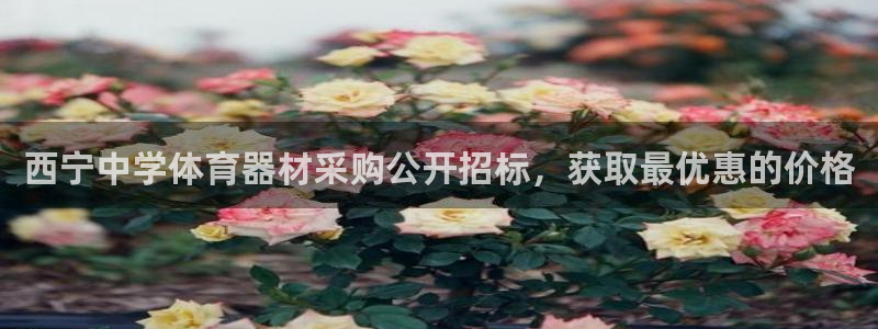 尊龙版末代皇帝：西宁中学体育器材采购公开招标，获取最