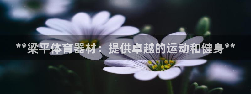 凯时k66官网登录：**梁平体育器材：提供卓越的运动