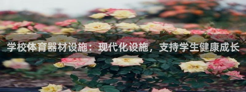 尊龙/人生就是博：学校体育器材设施：现代化设施，支持