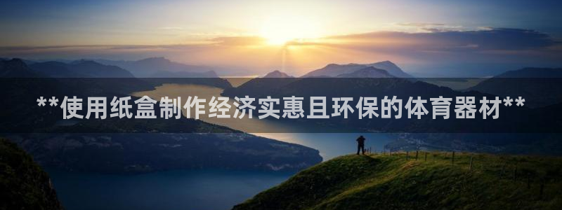 尊龙凯时d5138：**使用纸盒制作经济实惠且环保的