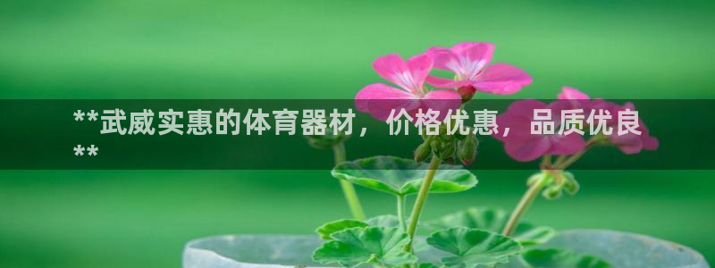 凯时kb88·中国官方网站：**武威实惠的体育器材，