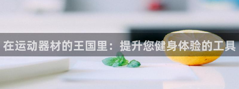 尊龙凯时品牌介绍：在运动器材的王国里：提升您健身体验