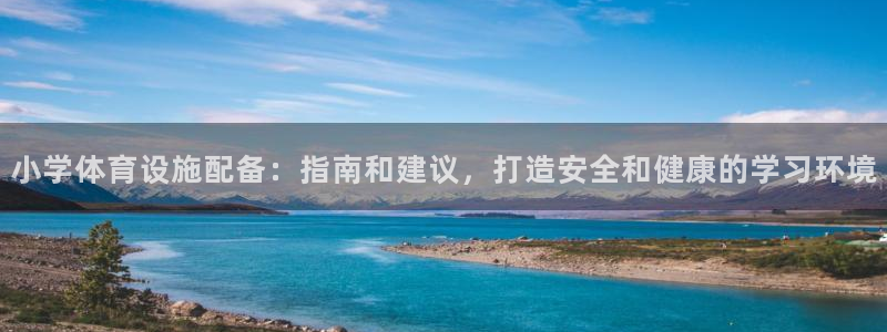 尊龙科技：小学体育设施配备：指南和建议，打造安全和健