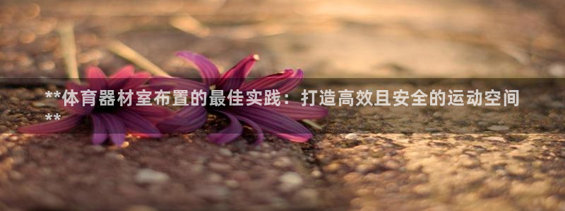 凯时网上官方网站：**体育器材室布置的最佳实践：打造