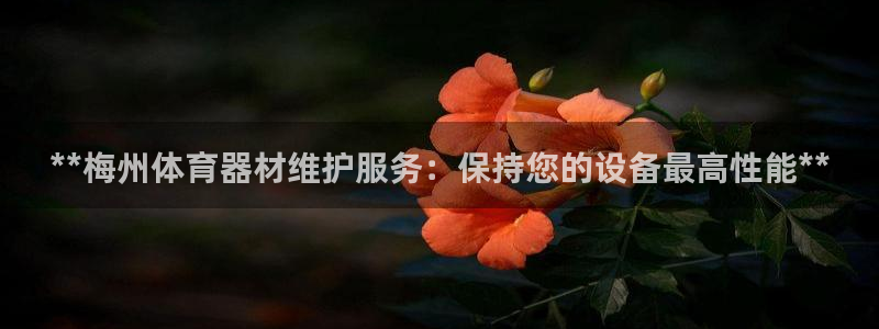尊龙官网：**梅州体育器材维护服务：保持您的设备最高