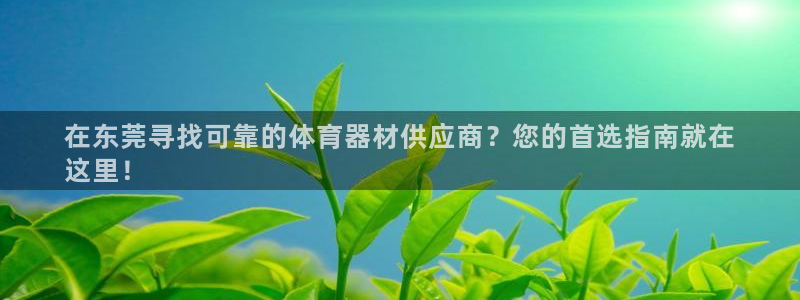 尊龙凯时app官方网站：在东莞寻找可靠的体育器材供应
