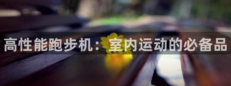 尊龙网站人生就是博：高性能跑步机：室内运动的必备品