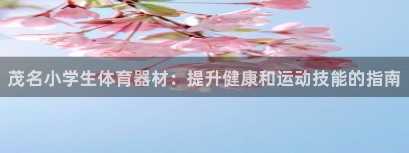 尊龙凯时 人生就是搏 平台：茂名小学生体育器材：提升