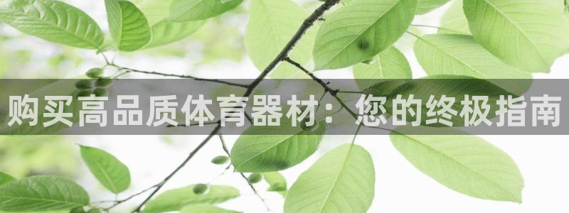 尊龙凯时请求参数不符合：购买高品质体育器材：您的终极