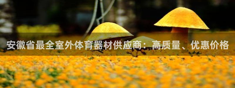 尊龙人生就是博旧版现：安徽省最全室外体育器材供应商：