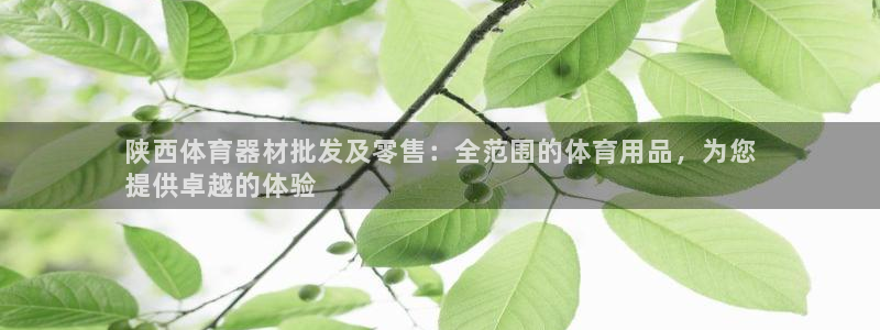 尊龙服饰品牌介绍：陕西体育器材批发及零售：全范围的体