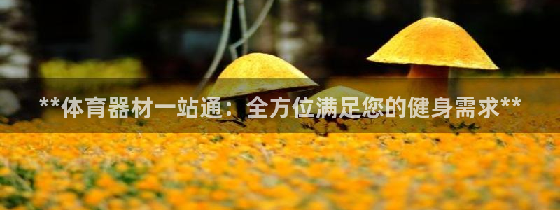 凯时K8国际：**体育器材一站通：全方位满足您的健身