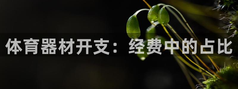 尊龙d88官网so问来就送38：体育器材开支：经费中