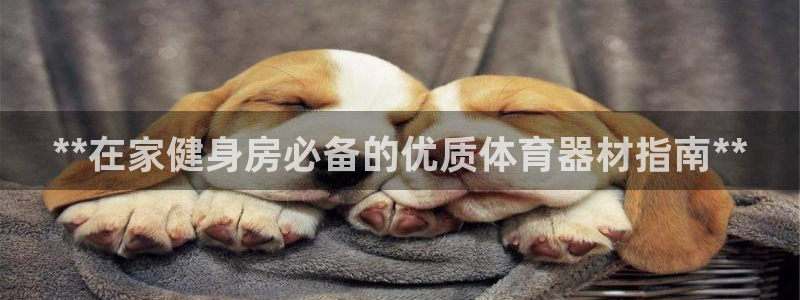 尊龙网站手机下载：**在家健身房必备的优质体育器材指