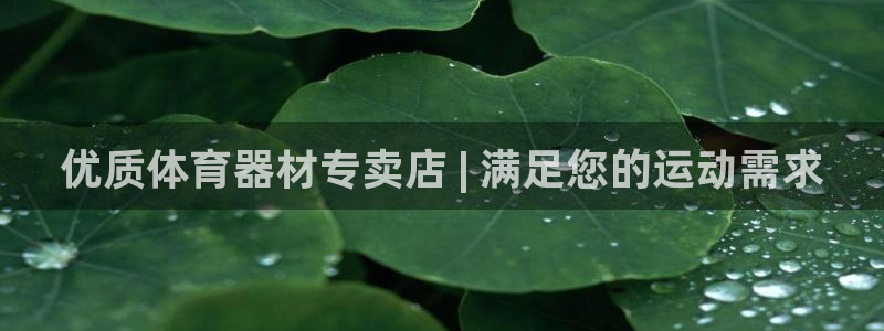 尊龙会：优质体育器材专卖店 | 满足您的运动需求