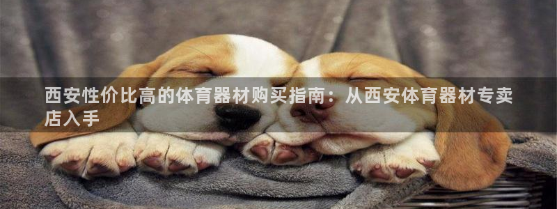 尊龙凯时代理官网入口：西安性价比高的体育器材购买指南