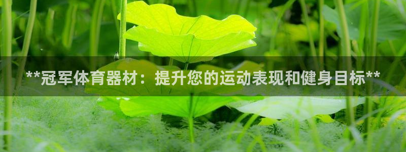 尊龙凯时是大平台吗：**冠军体育器材：提升您的运动表