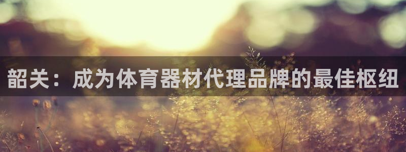 尊龙旗舰app：韶关：成为体育器材代理品牌的最佳枢纽