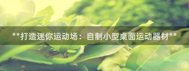 尊龙2016：**打造迷你运动场：自制小型桌面运动器
