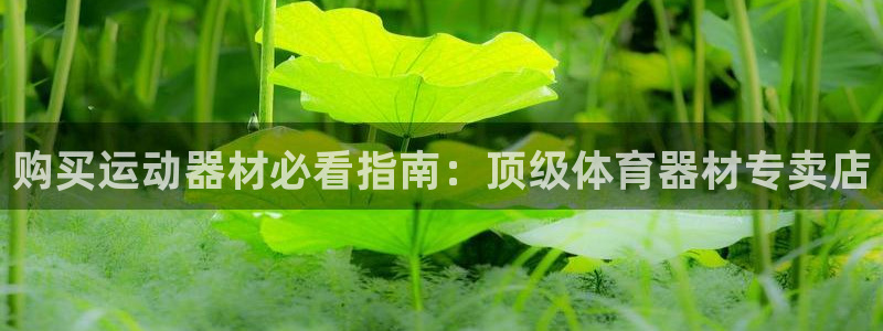 尊龙凯时白家乐：购买运动器材必看指南：顶级体育器材专