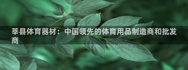 尊龙平台有谁玩过：莘县体育器材：中国领先的体育用品制