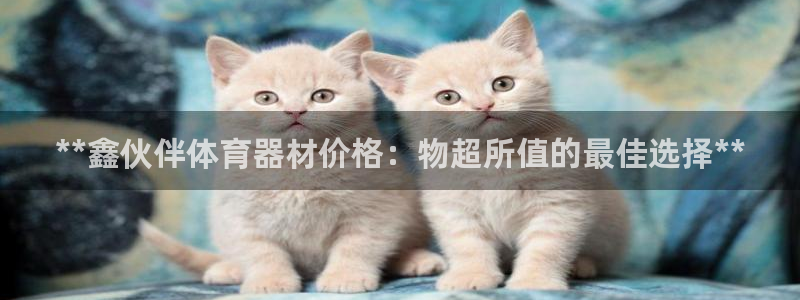 尊龙多少岁：**鑫伙伴体育器材价格：物超所值的最佳选