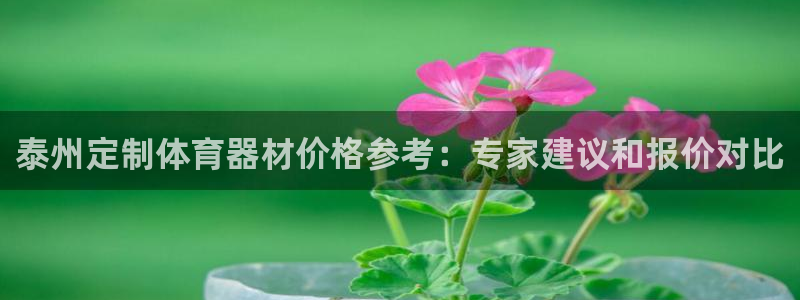 尊龙专访：泰州定制体育器材价格参考：专家建议和报价对