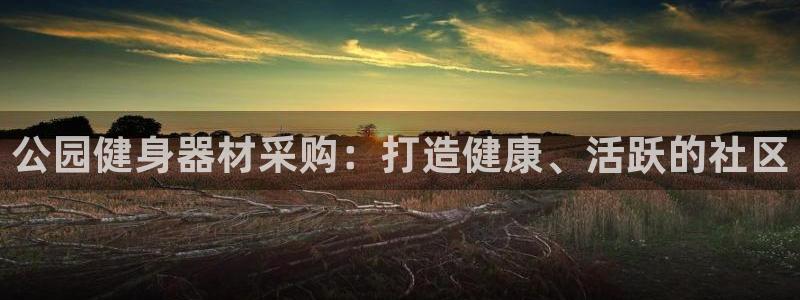 尊龙凯时怎么注册：公园健身器材采购：打造健康、活跃的