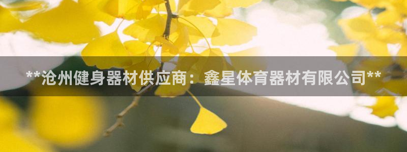 尊龙网站人生就是博：**沧州健身器材供应商：鑫星体育